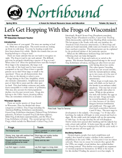 Let`s Get Hopping With the Frogs of Wisconsin!