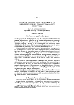 hormone balance and the control of metamorphosis in rhodnius