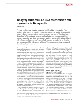 Imaging intracellular RNA distribution and dynamics in living cells