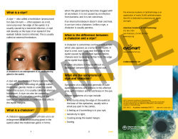 What is a stye? What is a chalazion?