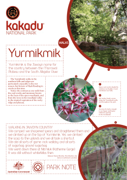 Yurmikmik - Parks Australia