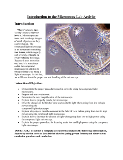 Microscope-Lab-Activity