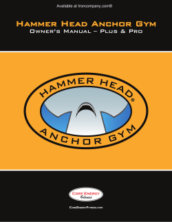 Hammer Head Anchor Gym