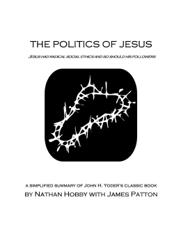 the politics of jesus the politics of jesus