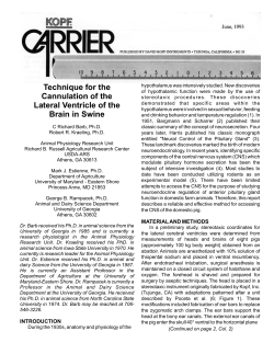 Technique for the Cannulation of the Lateral