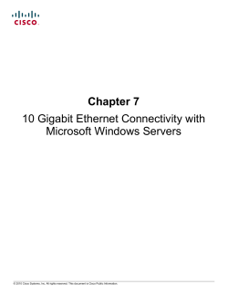 10 Gigabit Ethernet Connectivity with Microsoft Windows