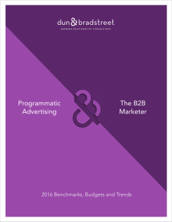 Programmatic Advertising The B2B Marketer