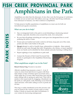 Amphibians - Alberta Parks