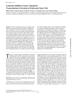 Leukemia Inhibitory Factor&ndash;dependent Transcriptional Activation in