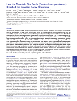 Article How the Mountain Pine Beetle