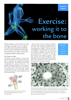 Exercise: working it to the bone
