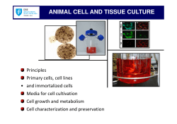 animal cell and tissue culture