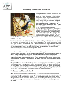 Fertilizing Annuals and Perennials