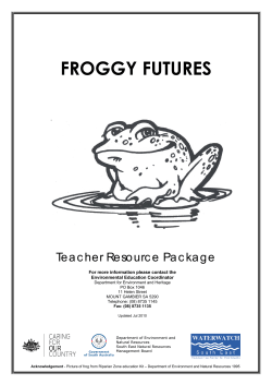 Froggy Futures teacher information pack