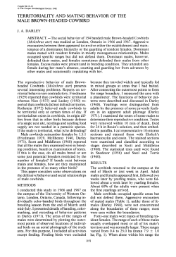 Territoriality and Mating Behavior of the Male Brown