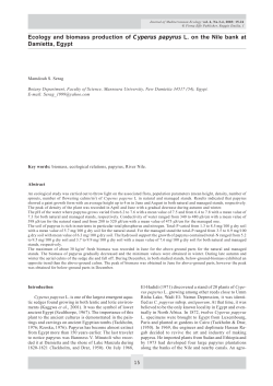 Ecology and biomass production of Cyperus papyrus L. on the Nile
