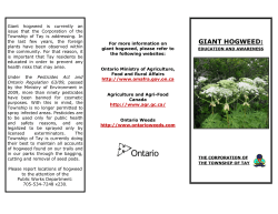 Hogweed - Tay Township