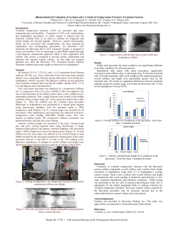 Biomechanical Evaluation of an Innovative Vertebral