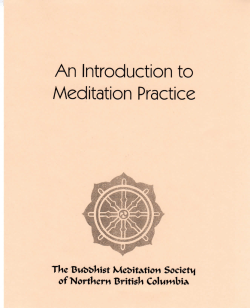 An Introduction to Meditation Practice