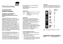 Lambda Hind III / phiX Hae III Marker
