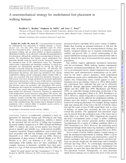 A neuromechanical strategy for mediolateral foot placement in