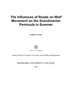 The Influences of Roads on Wolf Movement on the Scandinavian