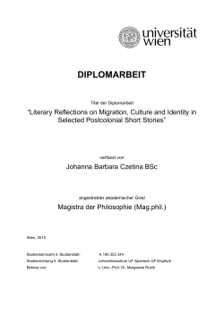 diplomarbeit - E