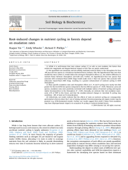 Root-induced changes in nutrient cycling in forests depend on