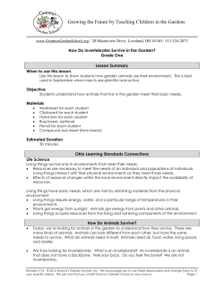 How Do Invertebrates Survive in the Garden