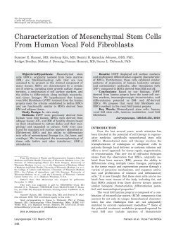 Characterization of mesenchymal stem cells from human vocal fold