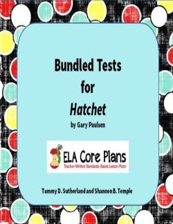 Hatchet Test on Chapters 11- 15