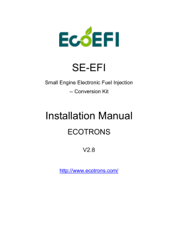 Small Engine EFI Conversion Kits-Installation Manual