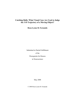 Catching Balls: What Visual Cues Are Used to Judge