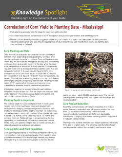 Correlation of Corn Yield to Planting Date - Mississippi