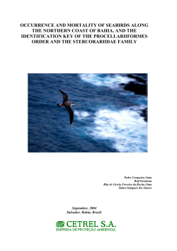 occurrence and mortality of seabirds along the northern coast of