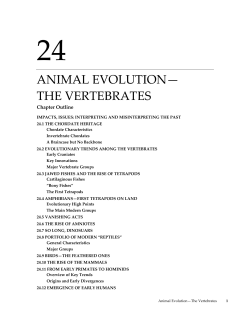 animal evolution&mdash; the vertebrates