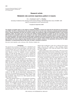 Metabolic rate controls respiratory pattern in insects