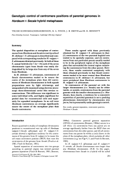 Genotypic control of centromere positions of parental genomes in