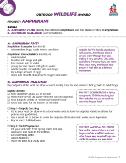 Amphibians