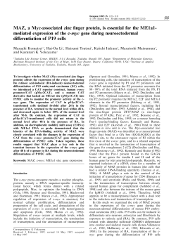 mediated expression of the c-myc gene during neuroectoder