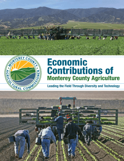 Economic Contributions of