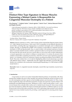 Full-Text PDF