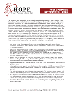 post-operative instructions - dogs