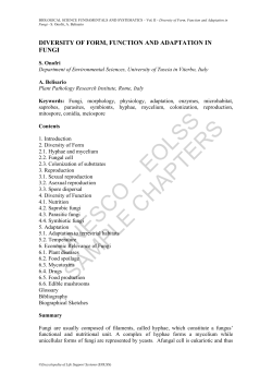 Diversity of Form, Function and Adaptation in Fungi