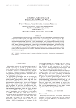 CHROMOPLAST BIOGENESIS IN CHELIDONIUM MAJUS PETALS