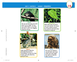 LESSON 1 Adaptations