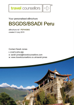 BSGDS/BSADI Peru