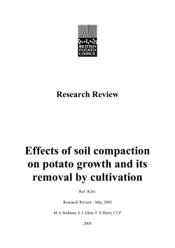 R261 Effect of Soil Compaction on Growth Review
