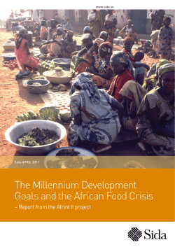 The Millennium Development Goals and the African Food Crisis