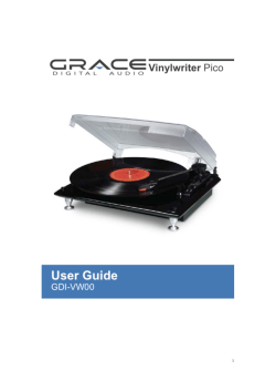Grace Digital VinylWriter-Pico